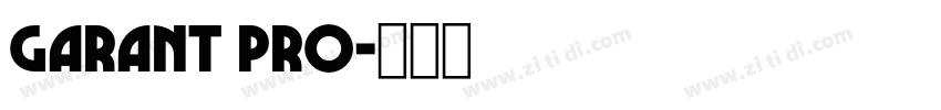Garant Pro字体转换